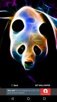 3D Animal Panda Wallpapers HD 2017 Free ảnh chụp màn hình 1