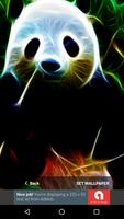 3D Animal Panda Wallpapers HD 2017 Free スクリーンショット 3