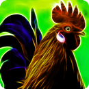 3D Animal Rooster Wallpapers HD 2017 Free APK