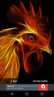 3D Animal Rooster Wallpapers HD 2017 Free Affiche