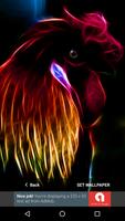 3D Animal Rooster Wallpapers HD 2017 Free screenshot 2