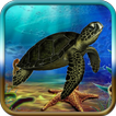 Turtle Adventure Game