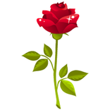 Medical Offline Search & News