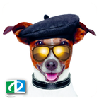 Dog Sounds ( Ringtones ) ikona