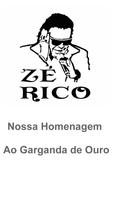 Rádio Zé Rico - Sertanejo ポスター