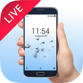 Flying birds live wallpaper