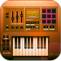 Real Play Organ
