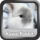Kawaii Rabbit Wallpaper HD APK
