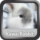 Kawaii Rabbit Wallpaper HD icône