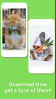 Kawaii Rabbit Wallpaper HD Ekran Görüntüsü 3