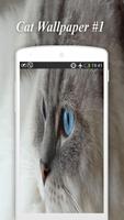 Cat Wallpapers screenshot 1