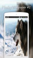 Husky Wallpapers screenshot 2