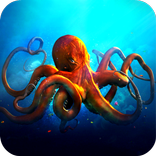 The ocean #2 / camera LIVE