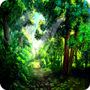 forest camera LIVE APK