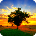 Sunrise / camera LIVE