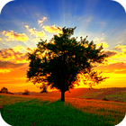 آیکون‌ Sunrise / camera LIVE