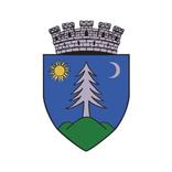 Gheorgheni City Report