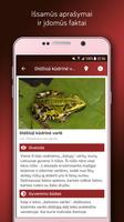 Herpetologas 截圖 1