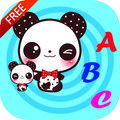 Baby Panda