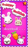 Candy Rabbit poster