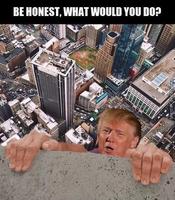 Funny Trump Memes poster