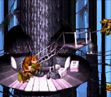 Tips for Donkey Kong Country Affiche