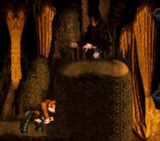 Tips for Donkey Kong Country syot layar 2