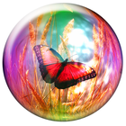 Butterfly Wallpapers icono