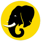 Tusker Lager icon