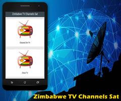 Zimbabwe TV Channels Sat capture d'écran 2