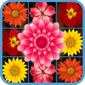 Flower Crush