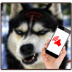 Dog Annoying Sounds APK