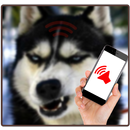 Dog Annoying Sounds APK