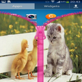 Cute Kitten Zipper Lock Screen