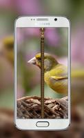 Cute Bird Zipper Lock Screen Affiche