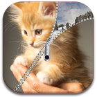 Cat Screen Lock Zipper icône