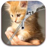 Cat Screen Lock Zipper icône