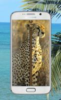 Cheetah Screen Lock Affiche