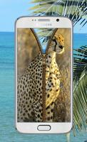 Cheetah Screen Lock اسکرین شاٹ 3