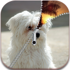 Dog Puppy Zipper Screen Lock ícone