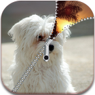 Dog Puppy Zipper Screen Lock-icoon