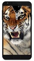 Tiger zipper - fake Affiche