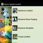 Master Ngekek Lovebird icon