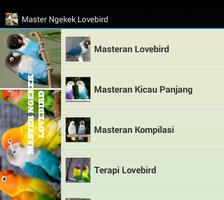 Master Ngekek Lovebird poster