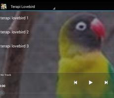 Master Ngekek Lovebird screenshot 1