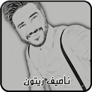 أغاني ناصيف زيتون APK