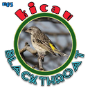 Blackthroat Full Tembakan APK