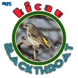 Blackthroat Full Tembakan 圖標
