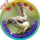 Kicau Terlengkap Ciblek Gunung APK