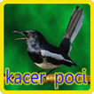 ”Kacer Poci Masteran